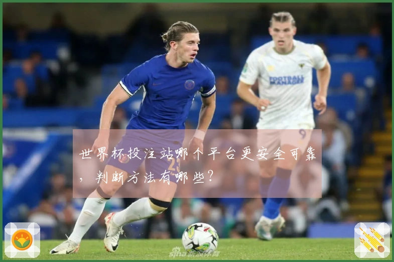世界杯投注站哪个平台更安全可靠，判断方法有哪些？